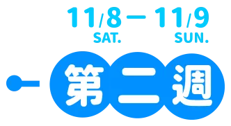11/8~11/9